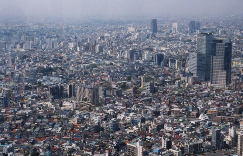 Shinjuku Tokyo government view city